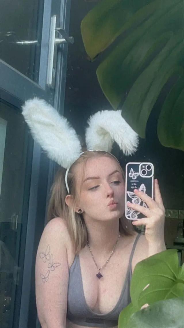 Lola Bunny 🐰