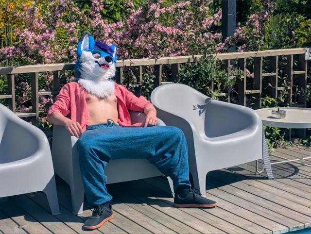 Ami Bluefox