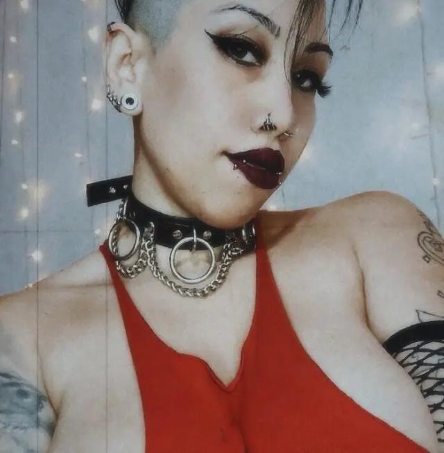 🕸️𝕂𝕚𝕥𝕥𝕪🕸️