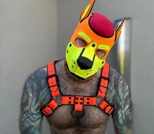 PowerPup