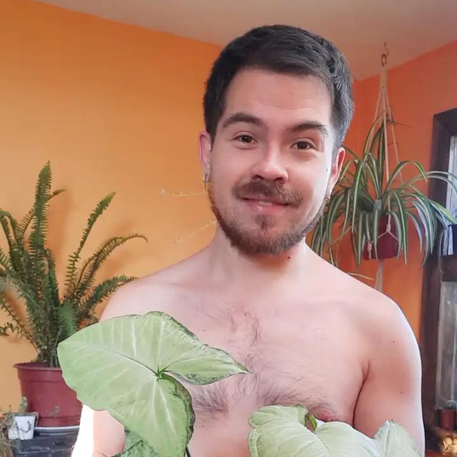 NachoPlantitas