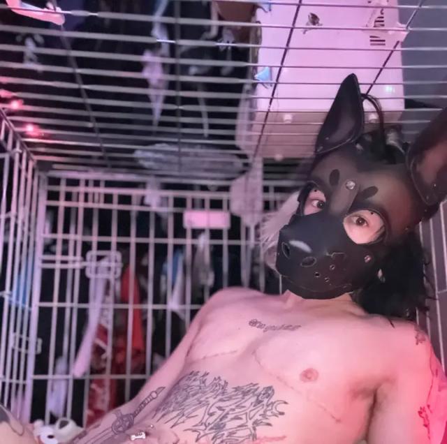 🎀Mutt🎀