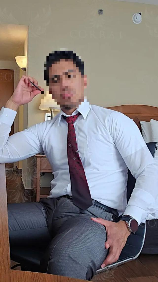 Suited Stallion