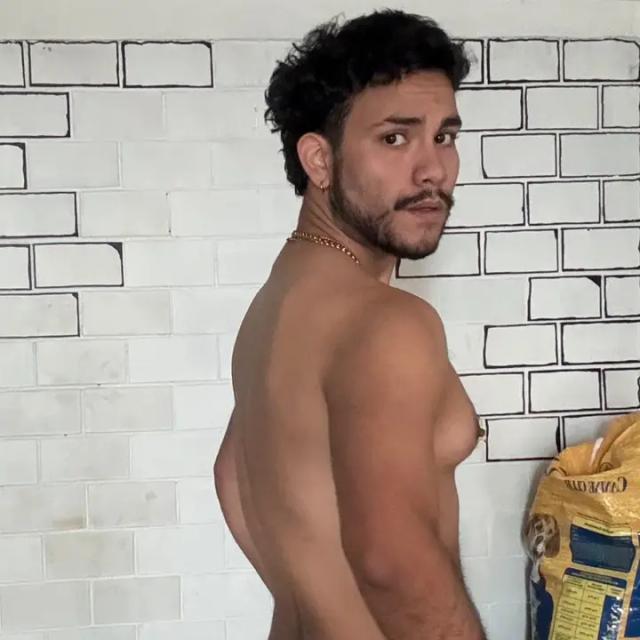 Memo Desnudo