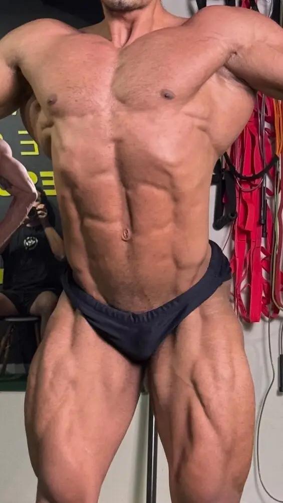 Muscle Bull