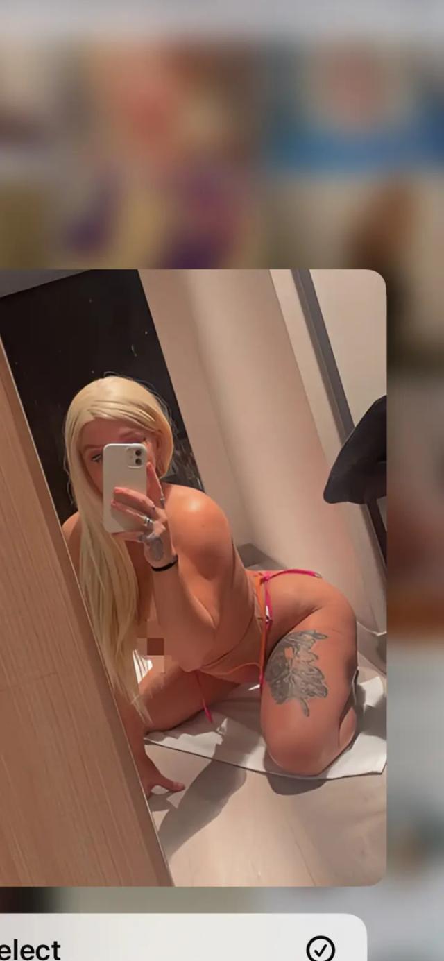 Angel fox