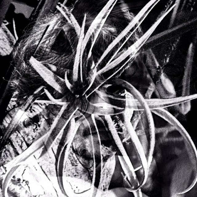 Matthieu Charneau