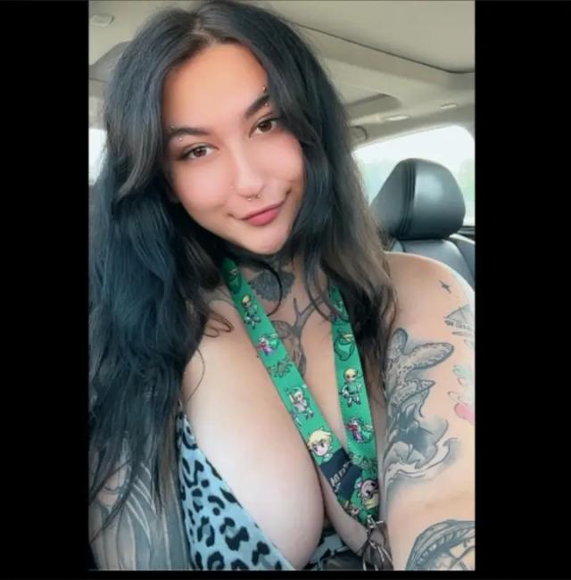 Kitten