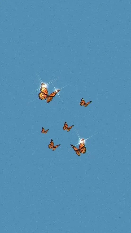 Holli Riden 🦋