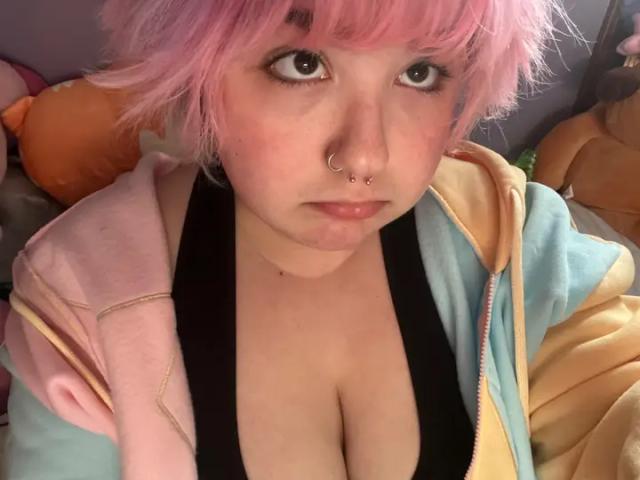 kitty