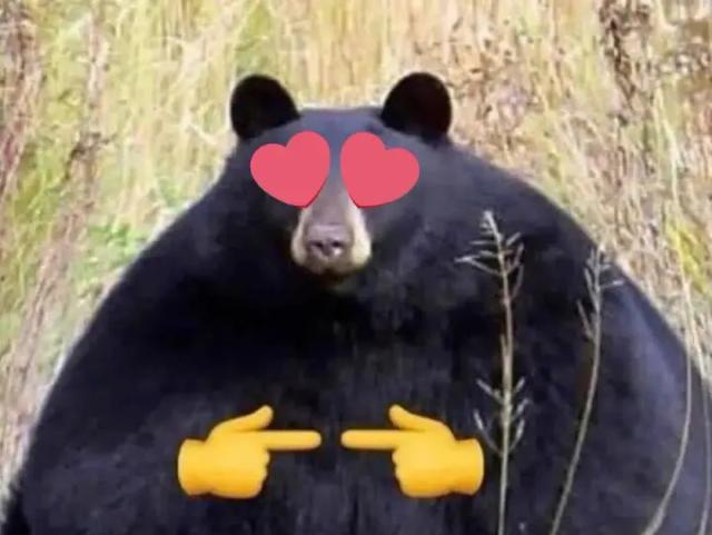 JBthe Jawbreaker Bear