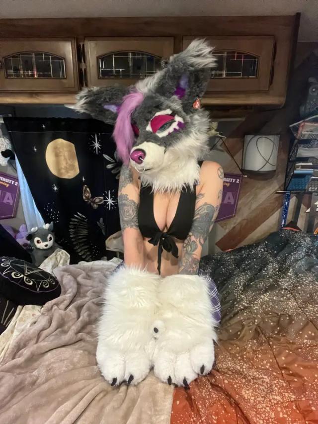 Vexx ✨💖🐾💖✨