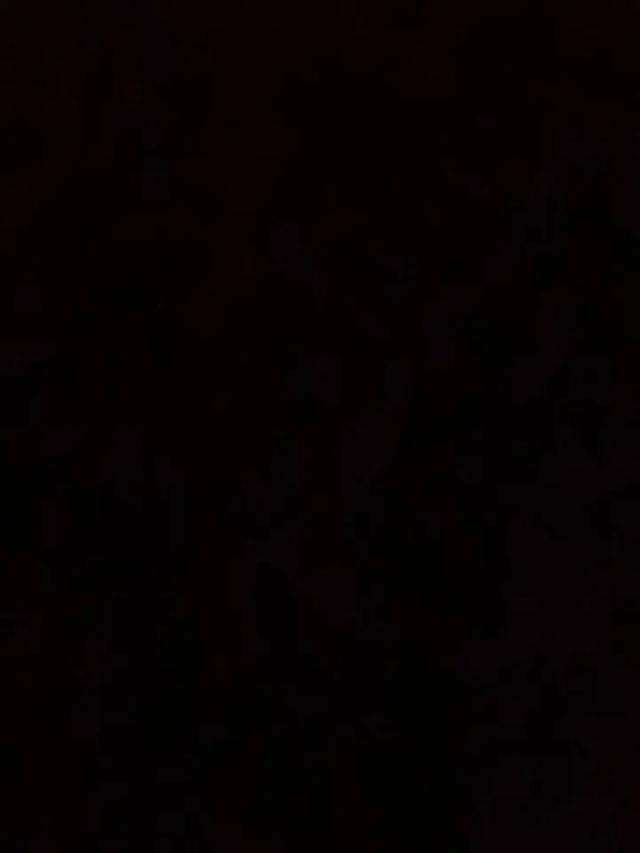 黎太郎(Reitaro)