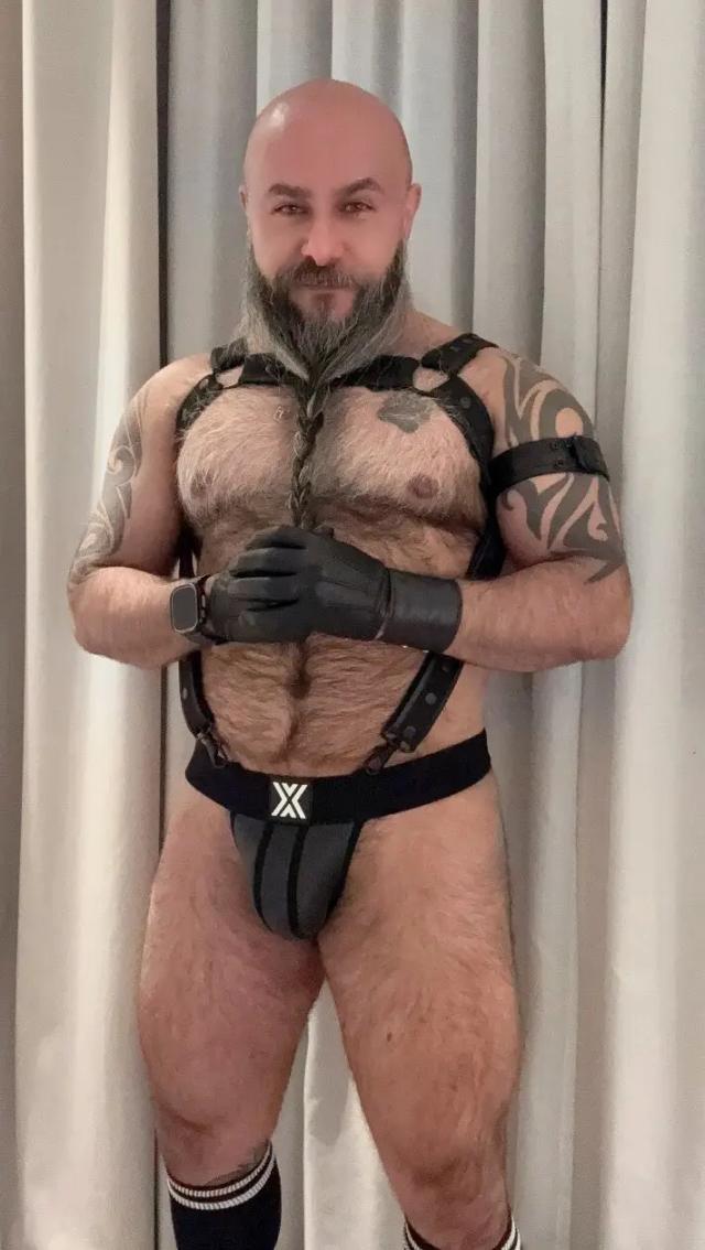 The Bearded Bear Man