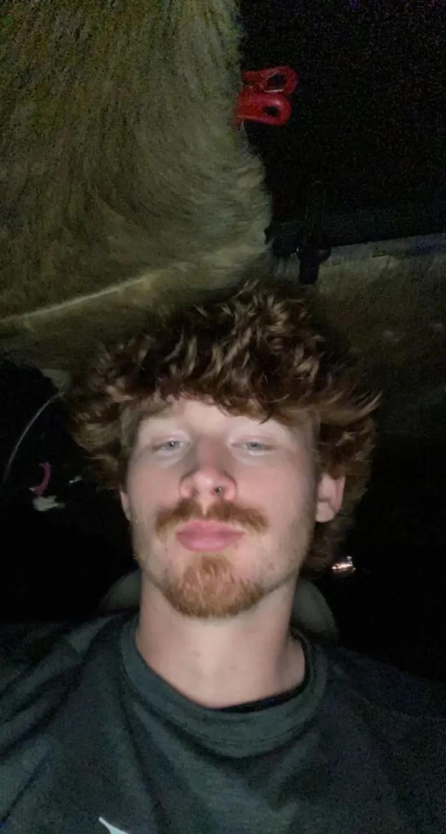 Lo