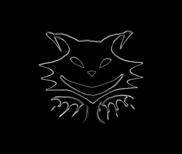 Kitty Tenebris