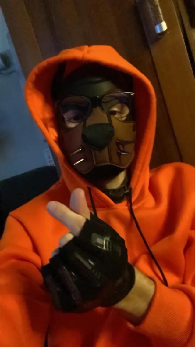 TheNoodlePup
