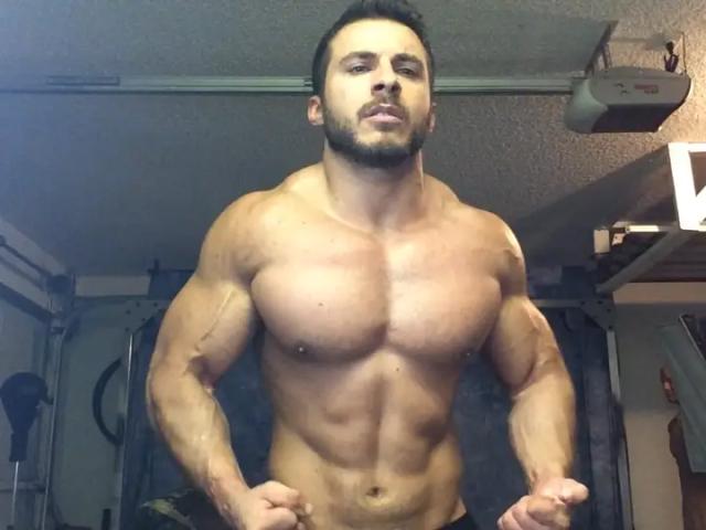 Master Fitt