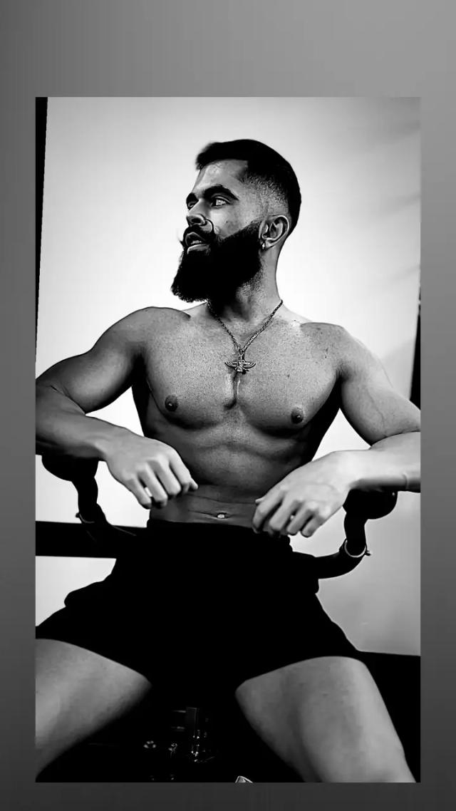 Bearded Persian