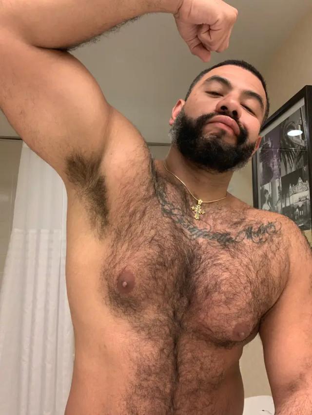 Nico Bear