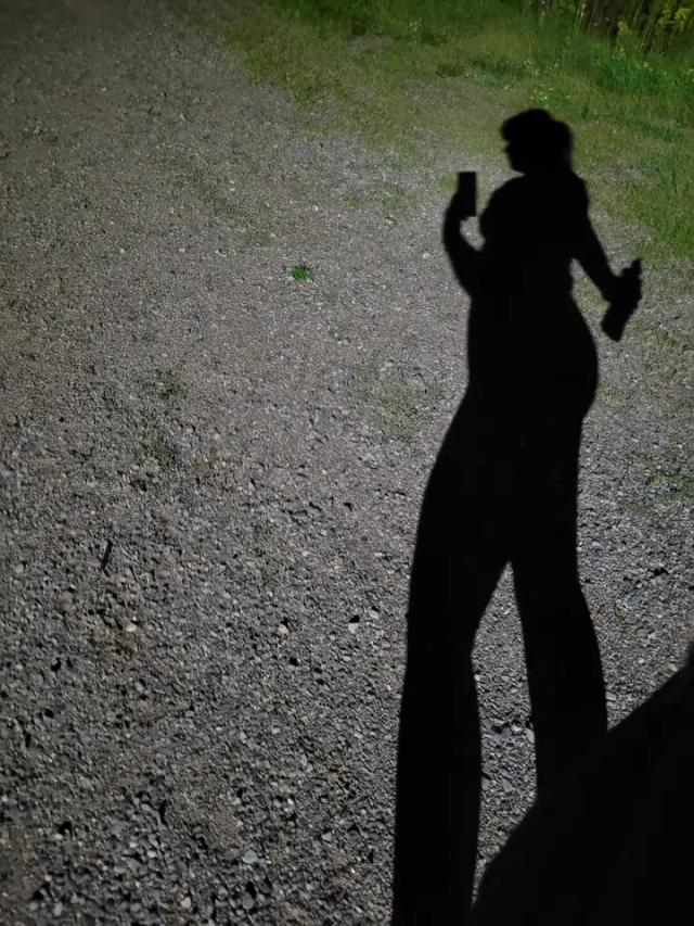 🐰