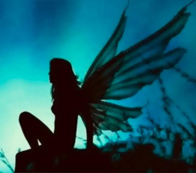 🫧🦋