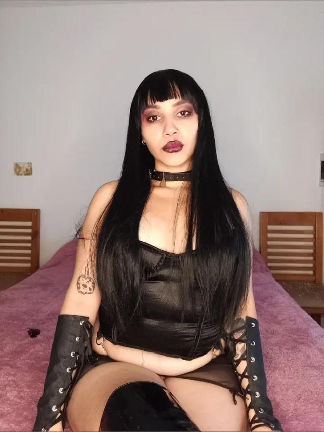 XIA Curvy