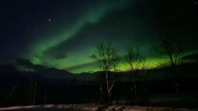 Northman