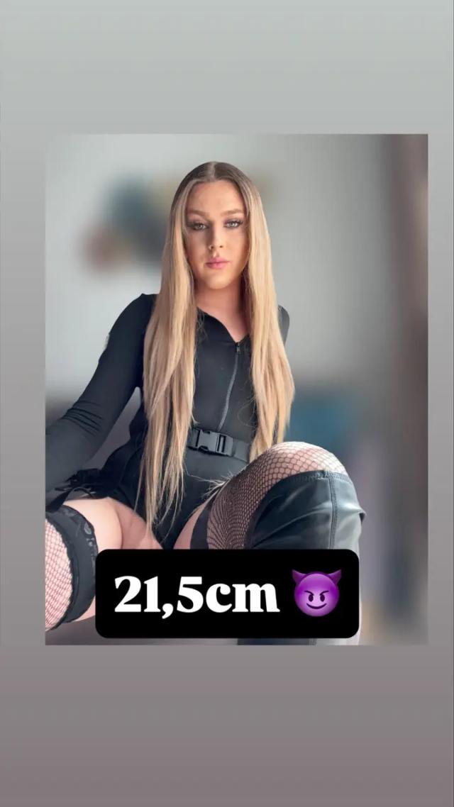 DAJA TS