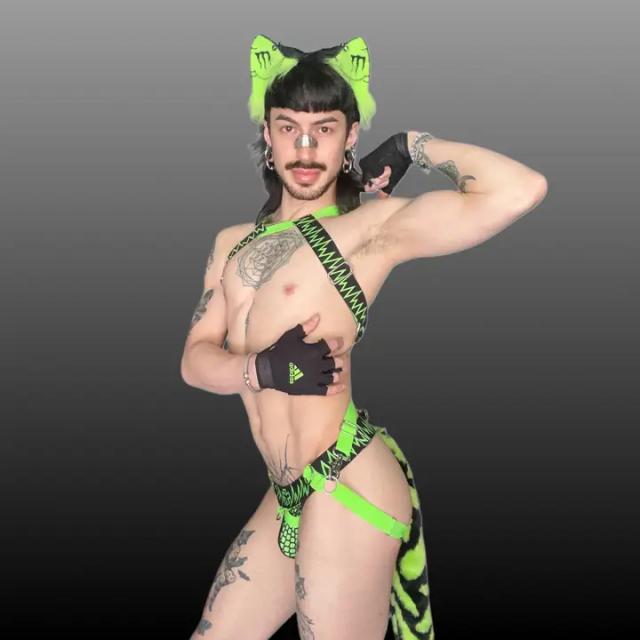 meowl-x