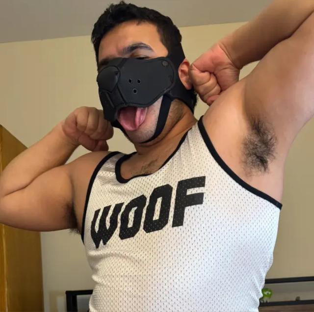 Pup Nico