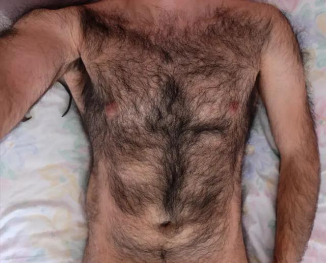 Hairypanther