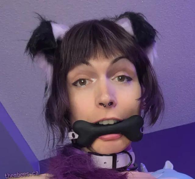 bee 🐶