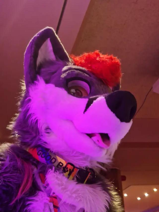 Dalite 🦊