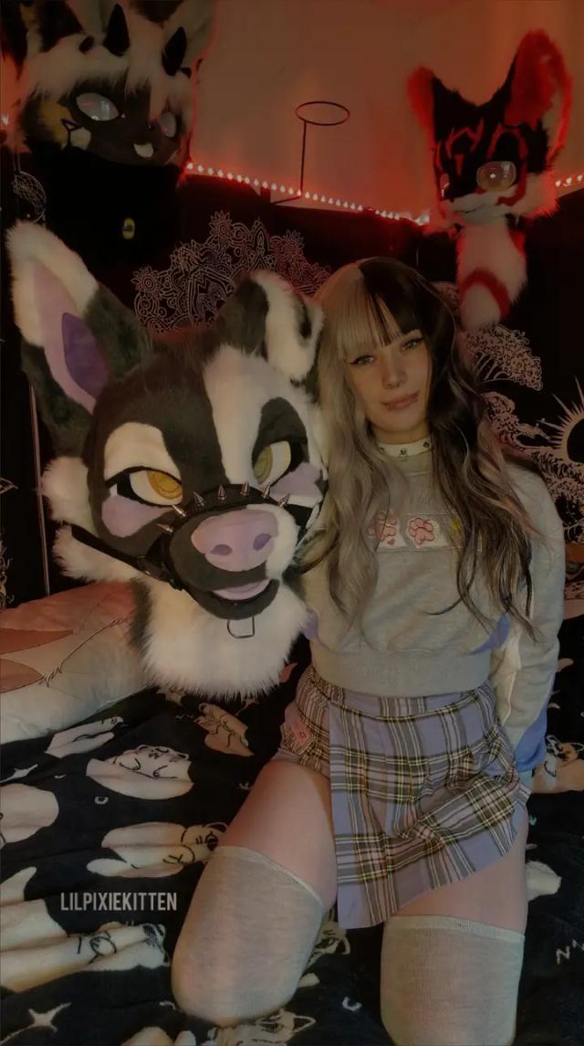 Lilpixiekitten