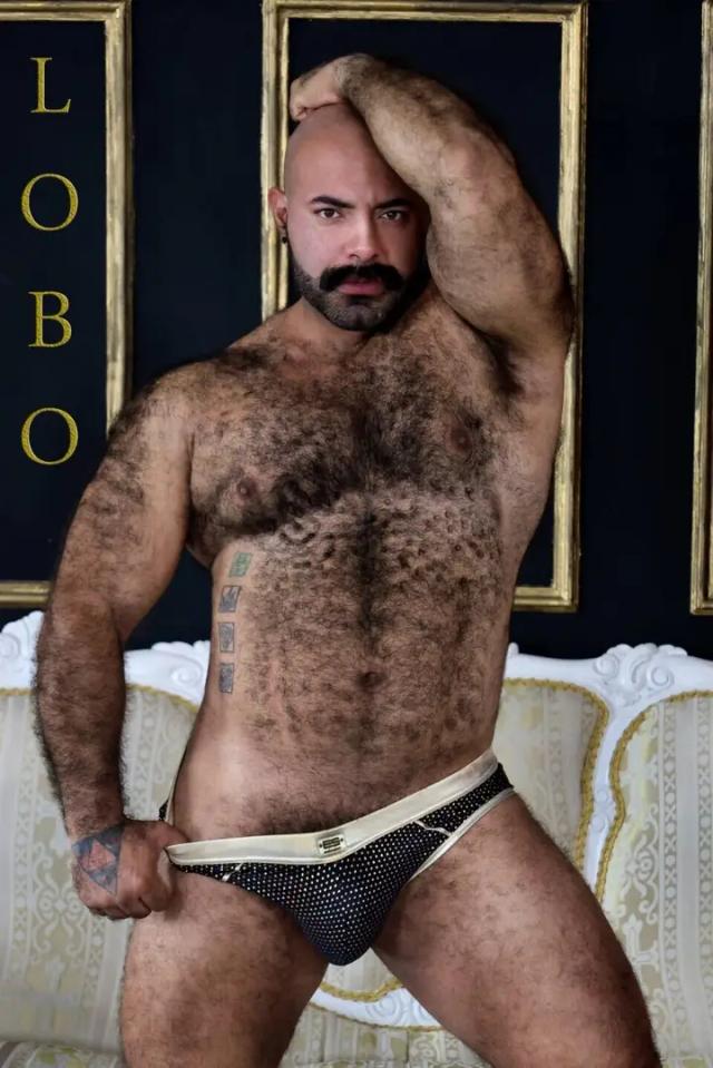 Lobo Free