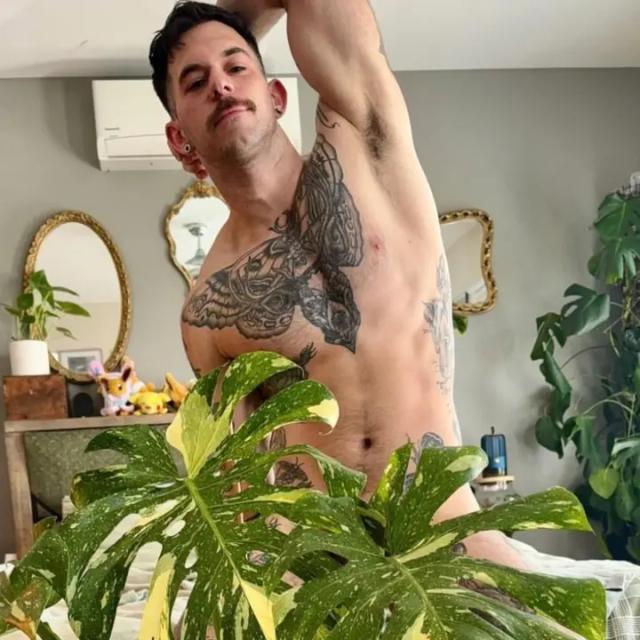 TRO “onlyPlants”
