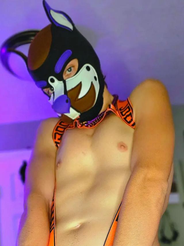 PUP MODA 💜