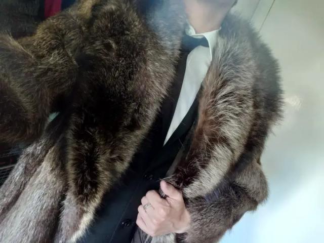 TheFurAccount