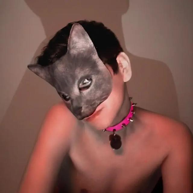 TWINK CAT 🐱