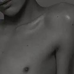 Lip
